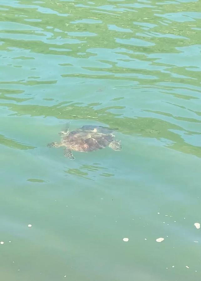 Gruta Da Sereia Suites Ubatuba Dış mekan fotoğraf